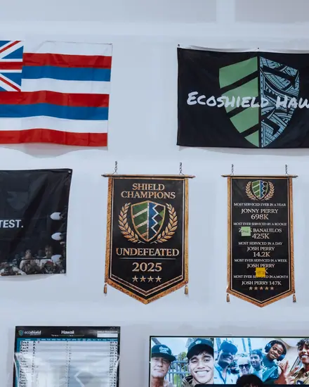 The office wall with team banners and flags
